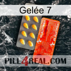 Gelée 7 new01
